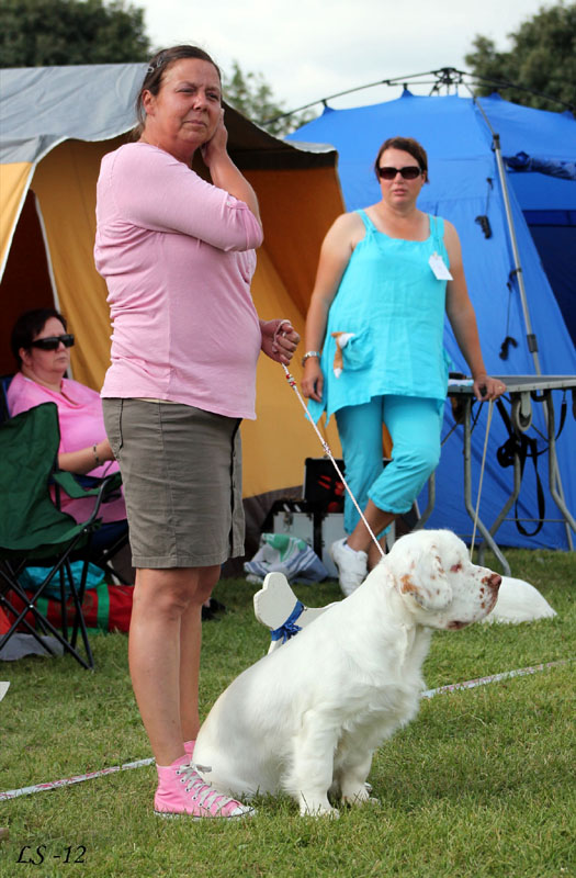 SWEClubShow2012_5_b_puppy_male_Ragnar_l