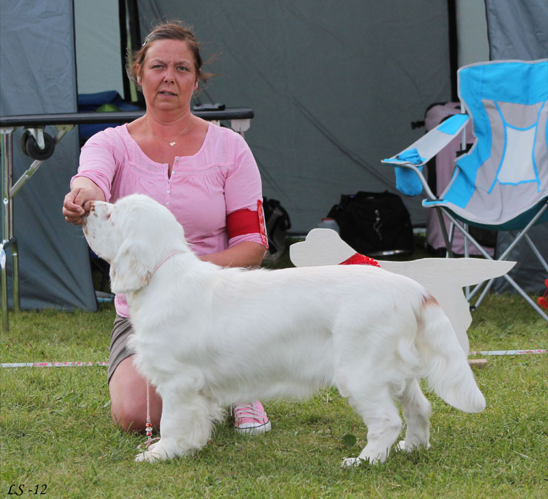 SWEClubShow2012_5_b_puppy_male_Ragnar_q