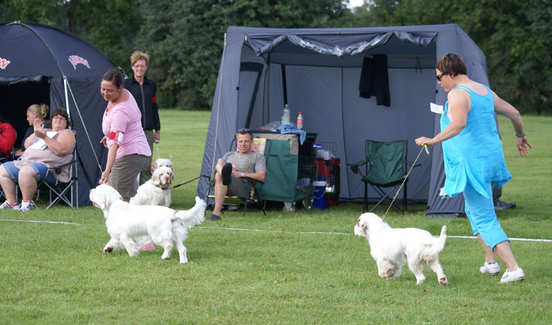 SWEClubShow2012_5_b_puppy_x_BIS_rBIS