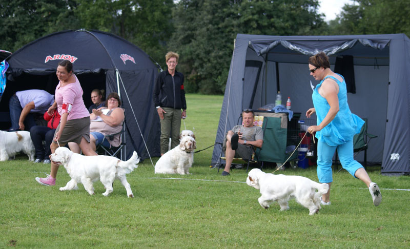 SWEClubShow2012_5_b_puppy_x_BIS_rBIS_b