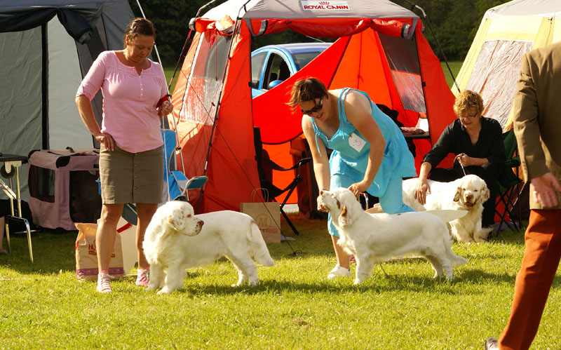 SWEClubShow2012_5_b_puppy_x_BIS_rBIS_c