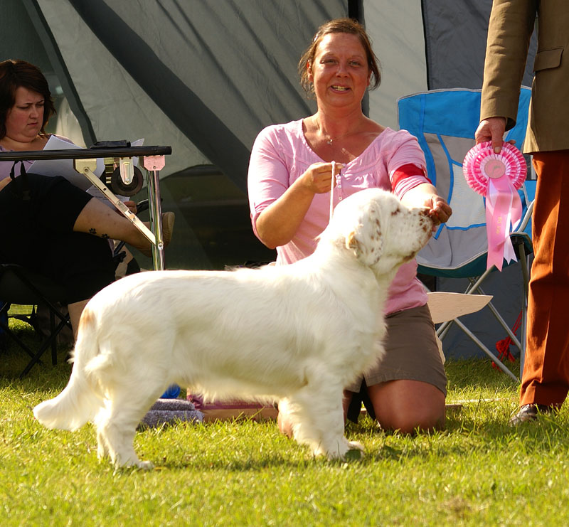 SWEClubShow2012_5_b_puppy_x_BIS_rBIS_d