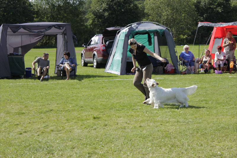 SWEClubShow2012_5_champion_bitch_Brenda_h