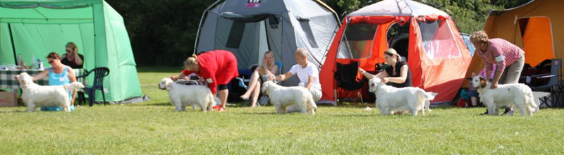 SWEClubShow2012_5_champion_bitch_class_a