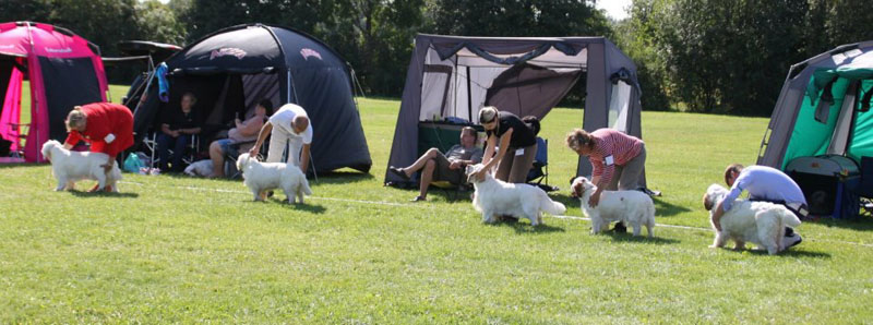 SWEClubShow2012_5_champion_bitch_class_b