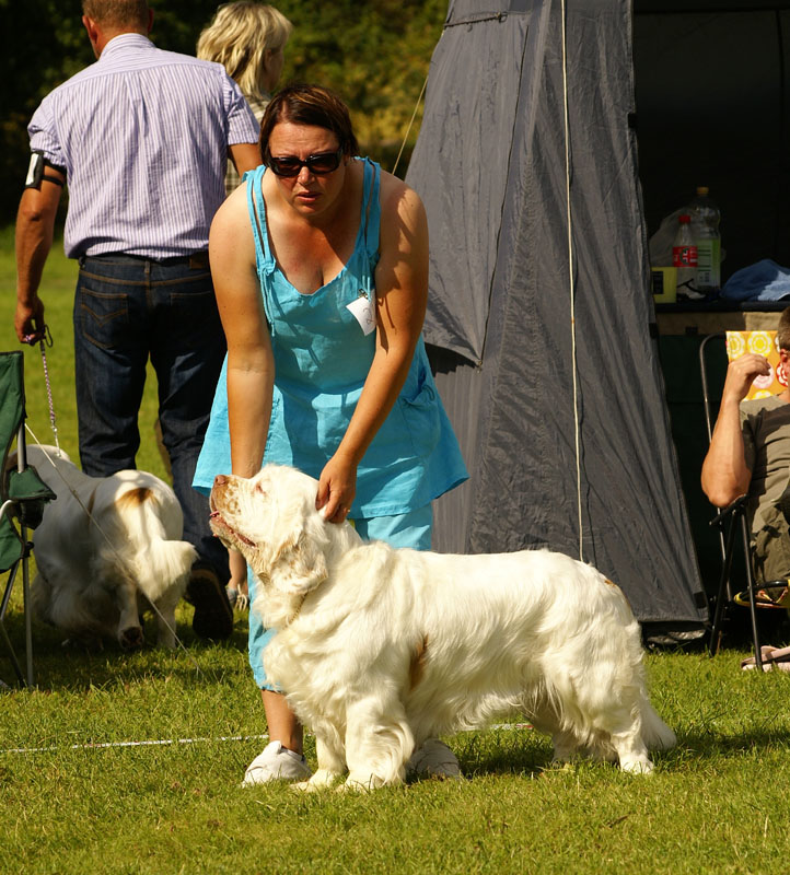 SWEClubShow2012_5_champion_male_Bono_b