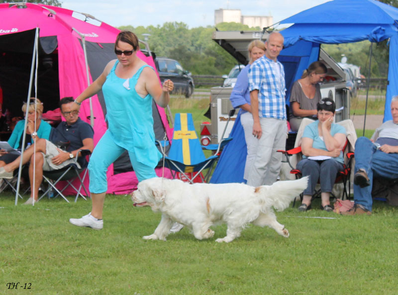 SWEClubShow2012_5_champion_male_Bono_f