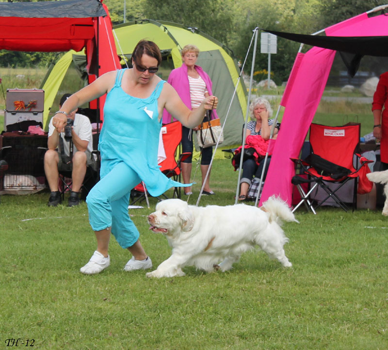 SWEClubShow2012_5_champion_male_Bono_h