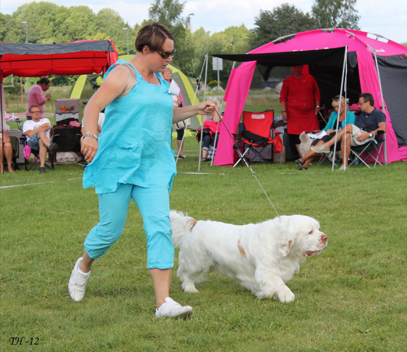 SWEClubShow2012_5_champion_male_Bono_i