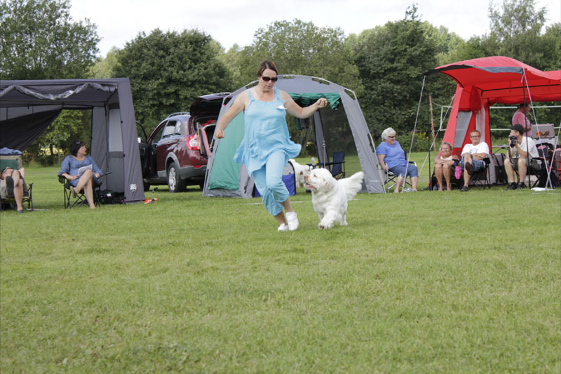 SWEClubShow2012_5_champion_male_Bono_o