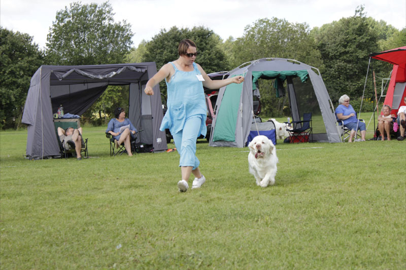 SWEClubShow2012_5_champion_male_Bono_q