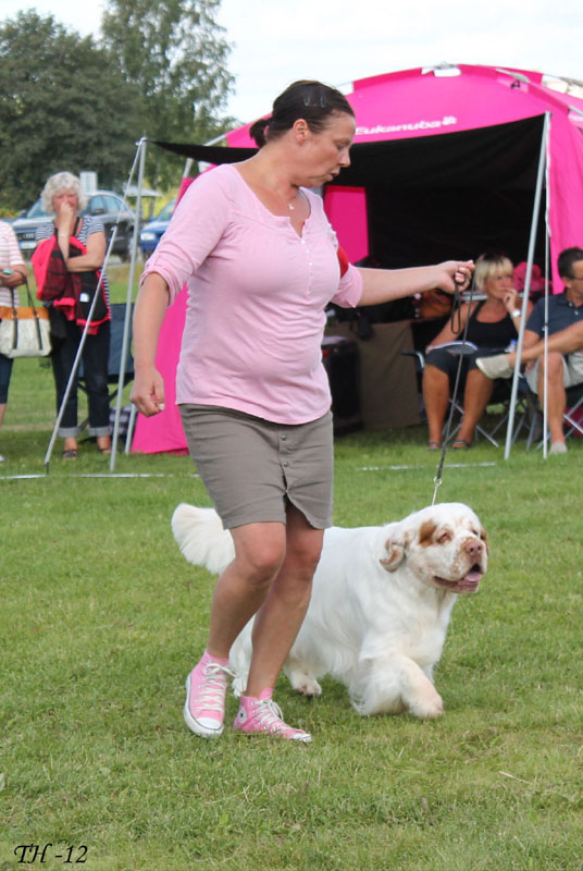 SWEClubShow2012_5_champion_male_Karlsson_a