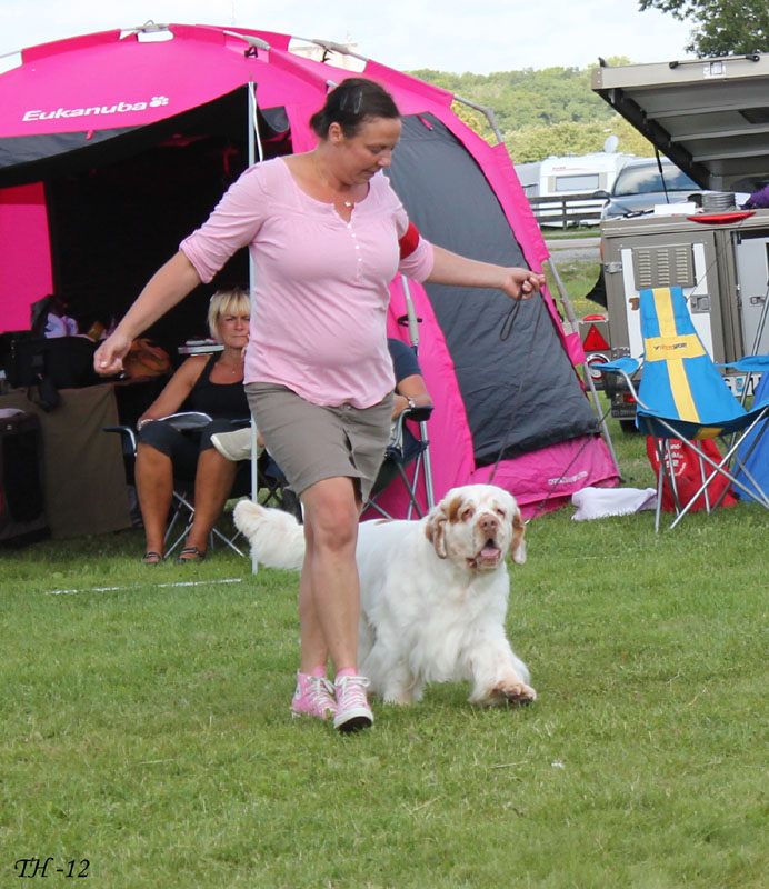 SWEClubShow2012_5_champion_male_Karlsson_b