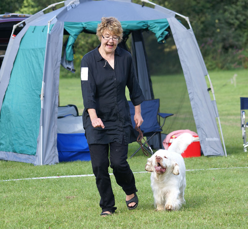 SWEClubShow2012_5_intermediate_male_Zorro_e