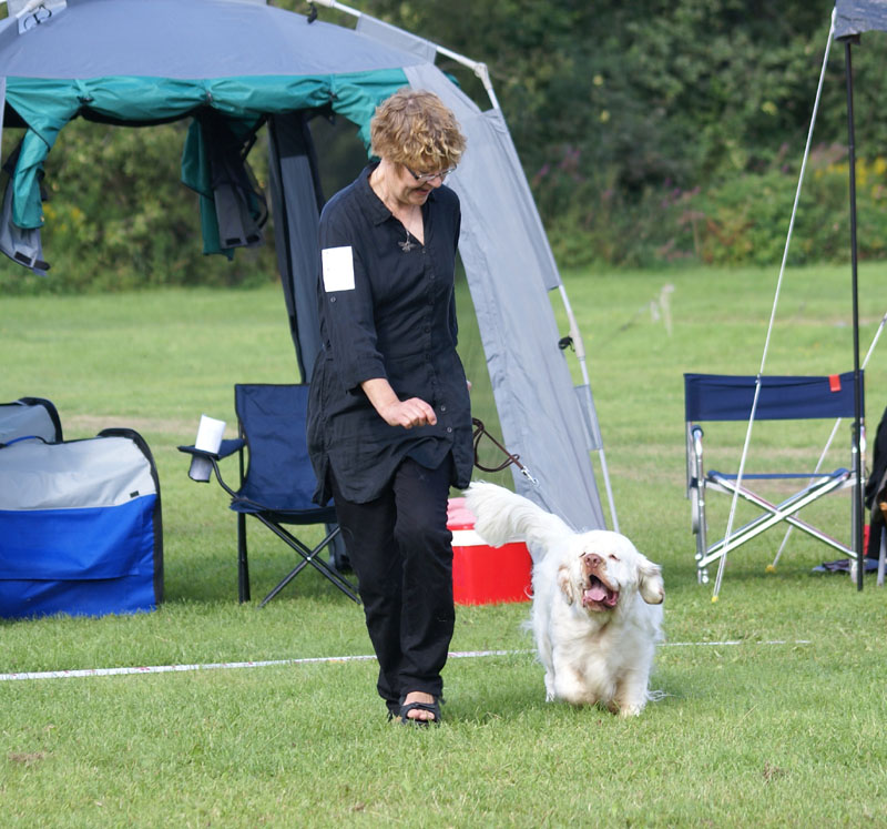 SWEClubShow2012_5_intermediate_male_Zorro_f