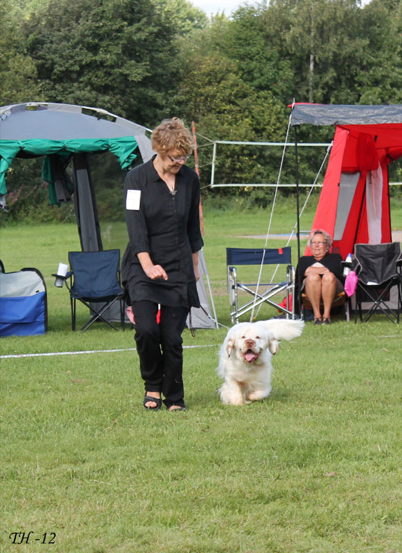 SWEClubShow2012_5_intermediate_male_Zorro_m