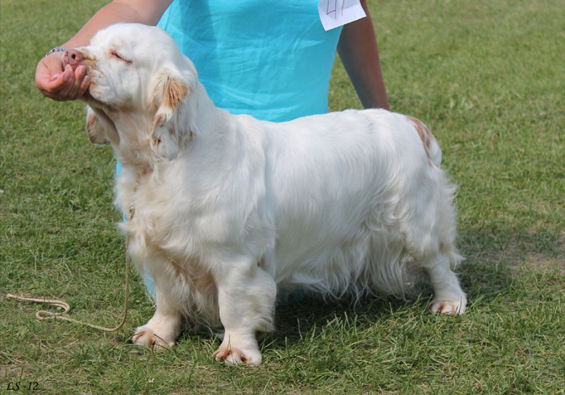 SWEClubShow2012_5_open_bitch_Hilla_e