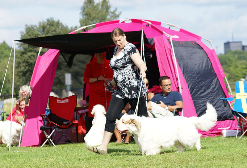 SWEClubShow2012_5_open_male_Bawo_c