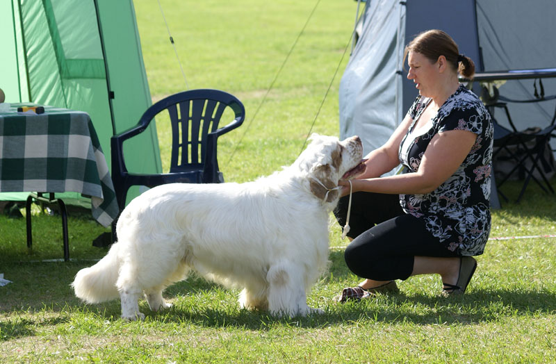 SWEClubShow2012_5_open_male_Bawo_i