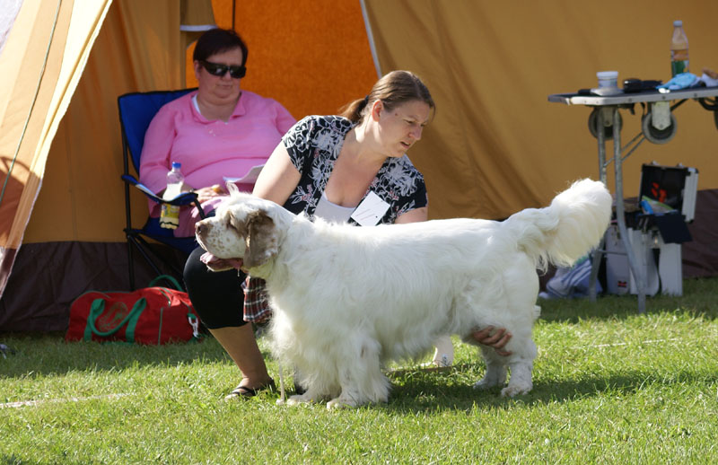 SWEClubShow2012_5_open_male_Bawo_j