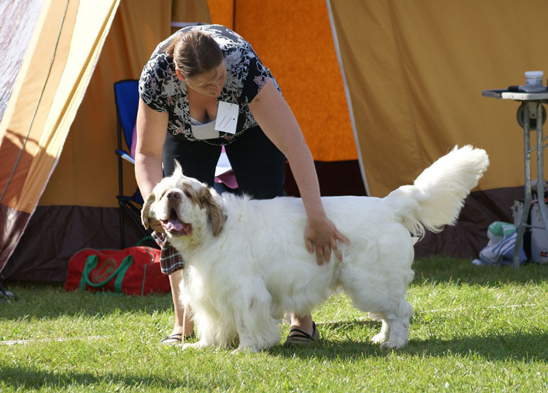 SWEClubShow2012_5_open_male_Bawo_k