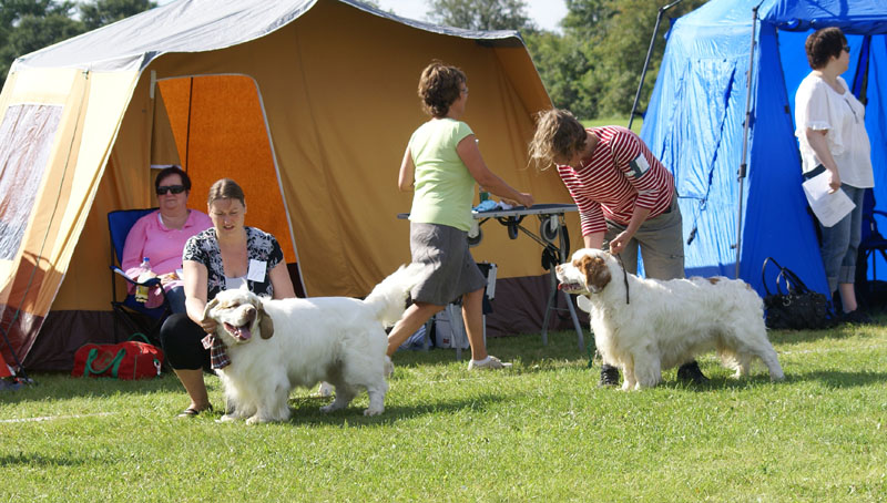 SWEClubShow2012_5_open_males