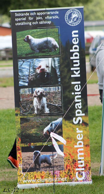 SWEClubShow2012_5_xx