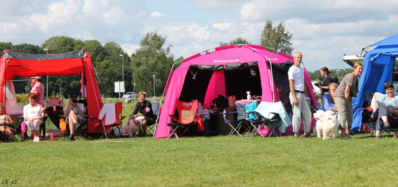 SWEClubShow2012_5_yyy