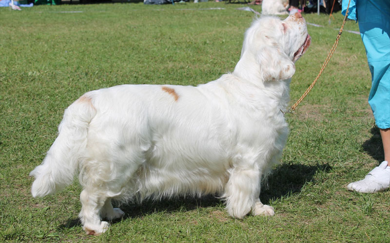 SWEClubShow2012_6_BIS2_Bumbaa_b