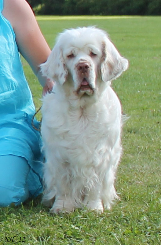 SWEClubShow2012_6_BIS2_Bumbaa_m