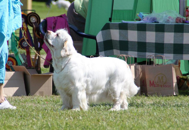 SWEClubShow2012_6_BIS2_Bumbaa_o