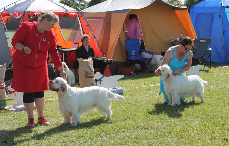 SWEClubShow2012_6_BIS_a