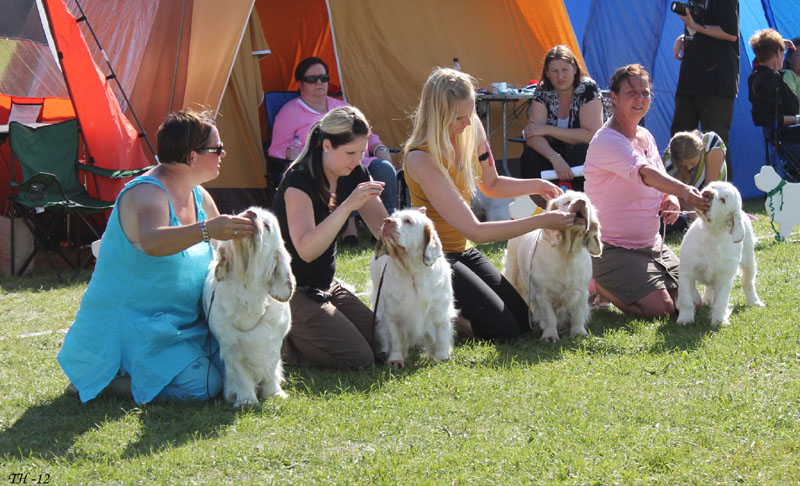 SWEClubShow2012_6_SpiceTwice_breeder_group_a