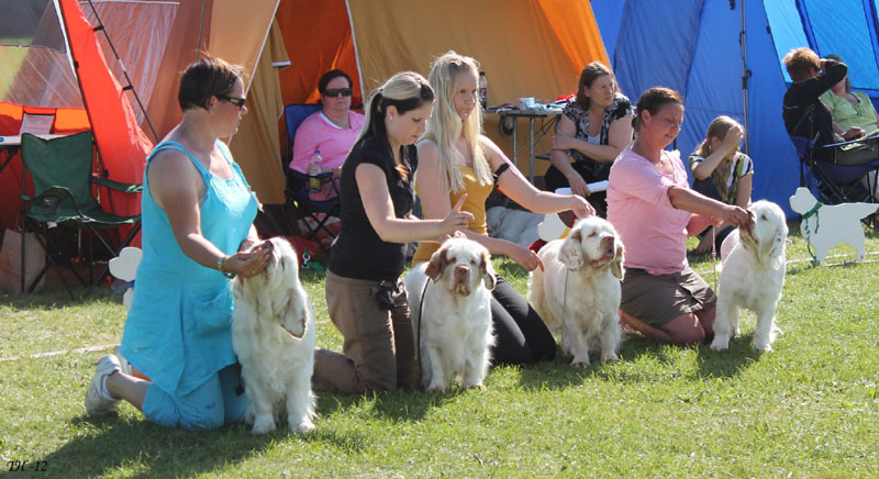 SWEClubShow2012_6_SpiceTwice_breeder_group_b