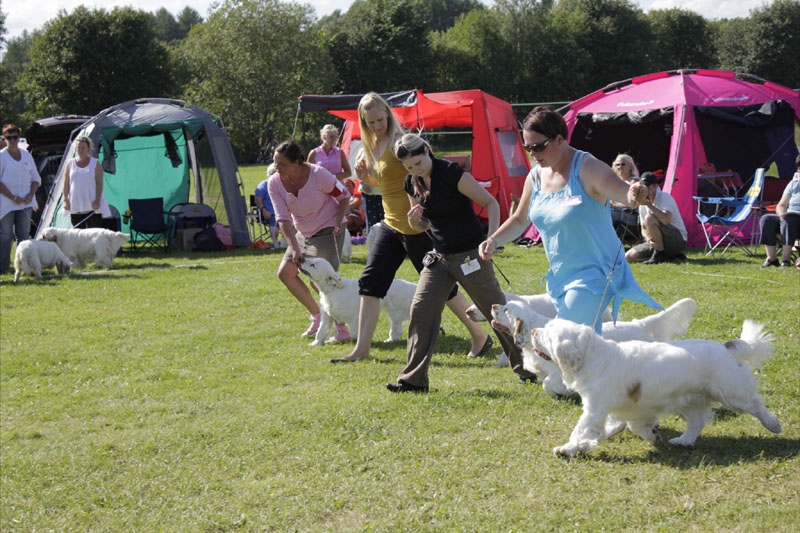 SWEClubShow2012_6_SpiceTwice_breeder_group_d