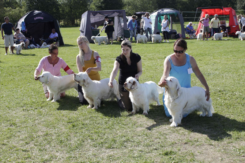 SWEClubShow2012_6_SpiceTwice_breeder_group_e