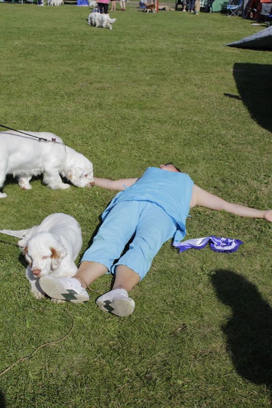 SWEClubShow2012_6_xx_very_tired_breeder_c
