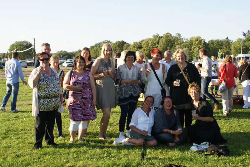 SWEClubShow2012_7_after_show_party_m