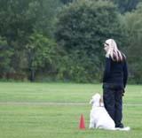 SWEClubShow2012_2a_Brenda_obedience_d