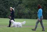 SWEClubShow2012_2a_Brenda_obedience_e