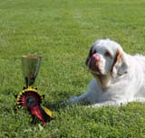 SWEClubShow2012_2a_Brenda_obedience_xd