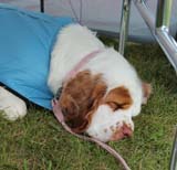 SWEClubShow2012_5_Hulda_b