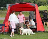 SWEClubShow2012_5_b_puppy_male_Ragnar_k