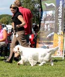 SWEClubShow2012_5_champion_bitch_Brenda_e