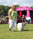 SWEClubShow2012_5_champion_bitch_Ester_a