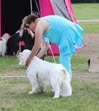 SWEClubShow2012_5_champion_male_Bono_e