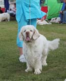 SWEClubShow2012_5_champion_male_Bono_k