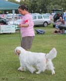 SWEClubShow2012_5_champion_male_Karlsson_c