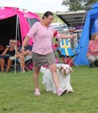 SWEClubShow2012_5_champion_male_Karlsson_d