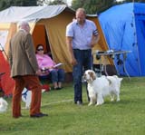 SWEClubShow2012_5_intermediate_male